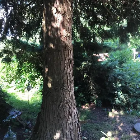 Wippendorf Σπίτι διακοπών Esgrus